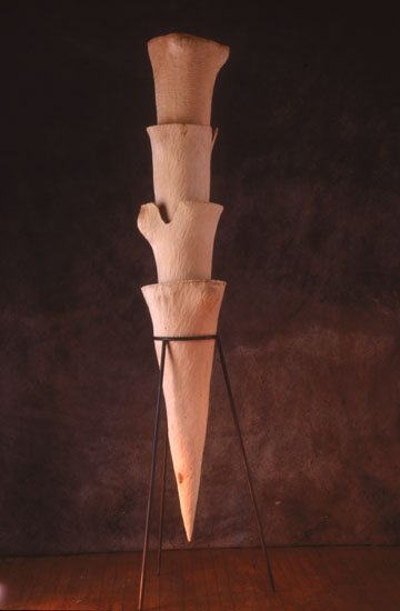 Sorcerers Apprentice